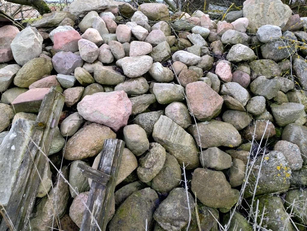 Kamień polny brukowiec