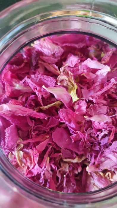 Suszone kwiaty piwonii