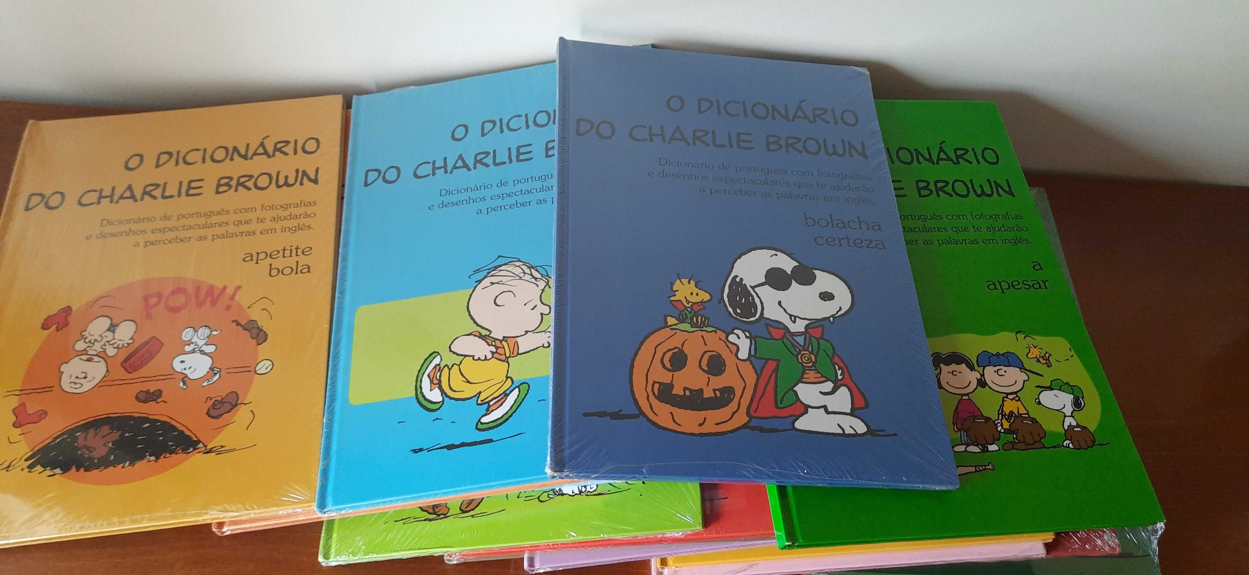 Coleção de 16 Dicionários do Charlie Brown Novos.