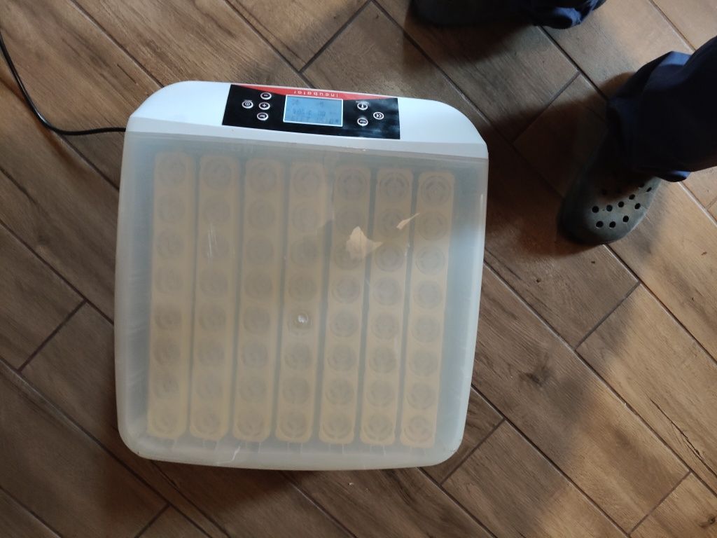 Inkubator na jajka 56 szt