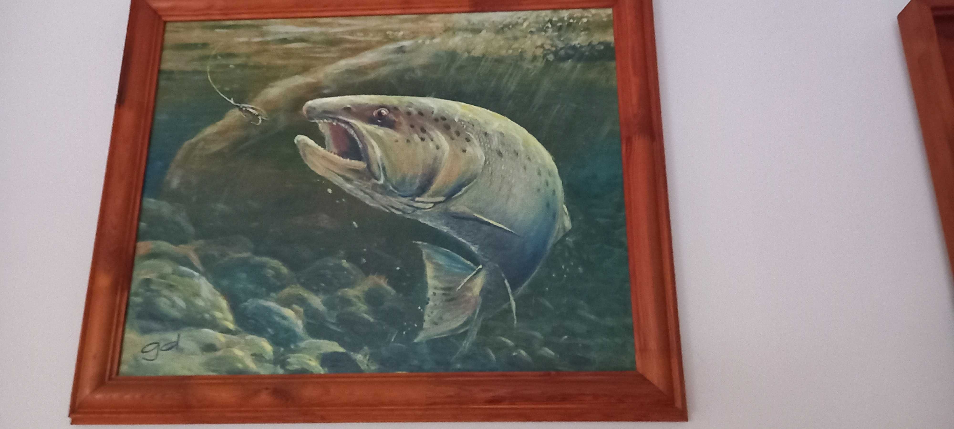 5 obrazów ryb łososiowatych dla miłośników fauny wodnej. Warto!!!