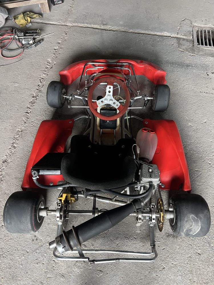 Gokart Dino 125 2t 40koni profi