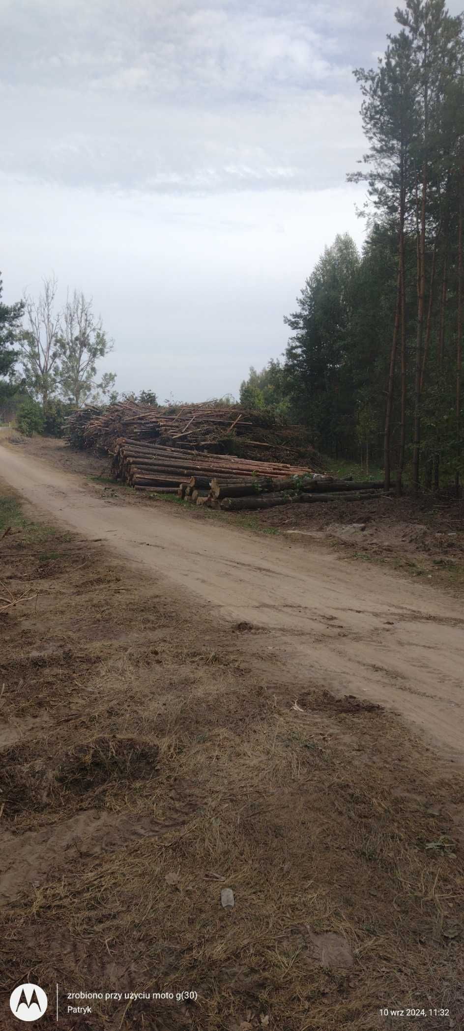 Ścinka drzew Mulczowanie Czyszczenie działek