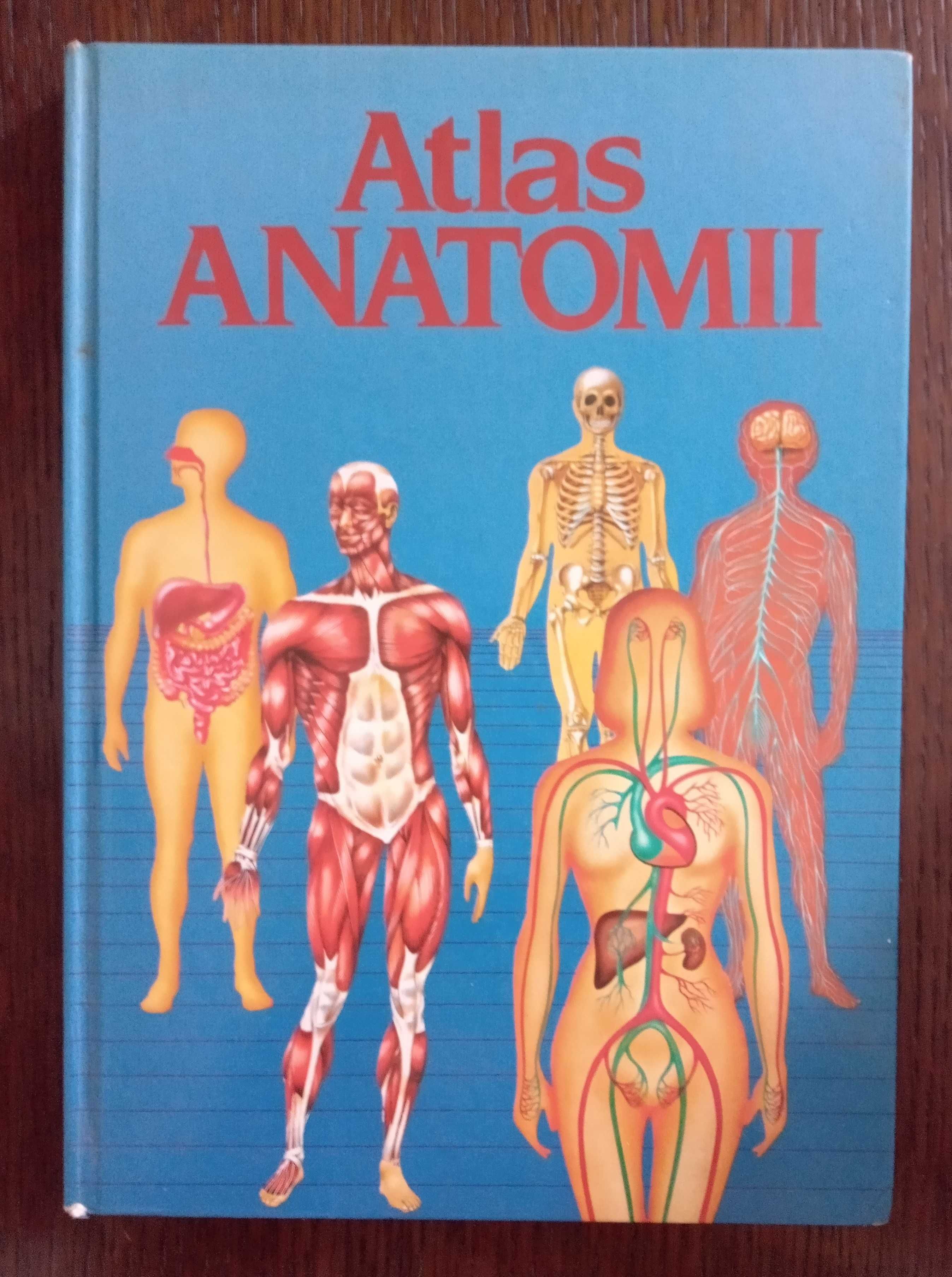 Atlas anatomii - Enric Gil de Bernabe Ortega