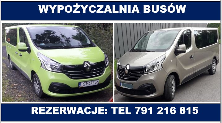 Wynajem busów, Renault Trafic 9-osobowy, bez kierowcy