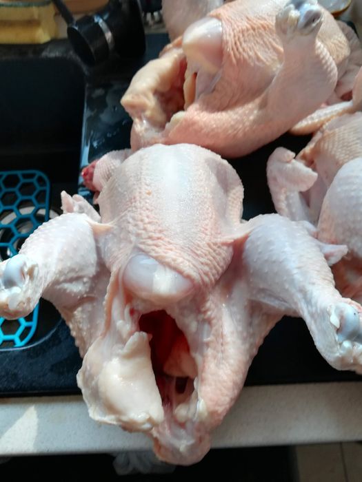 Kurczaki wiejskie brojlery