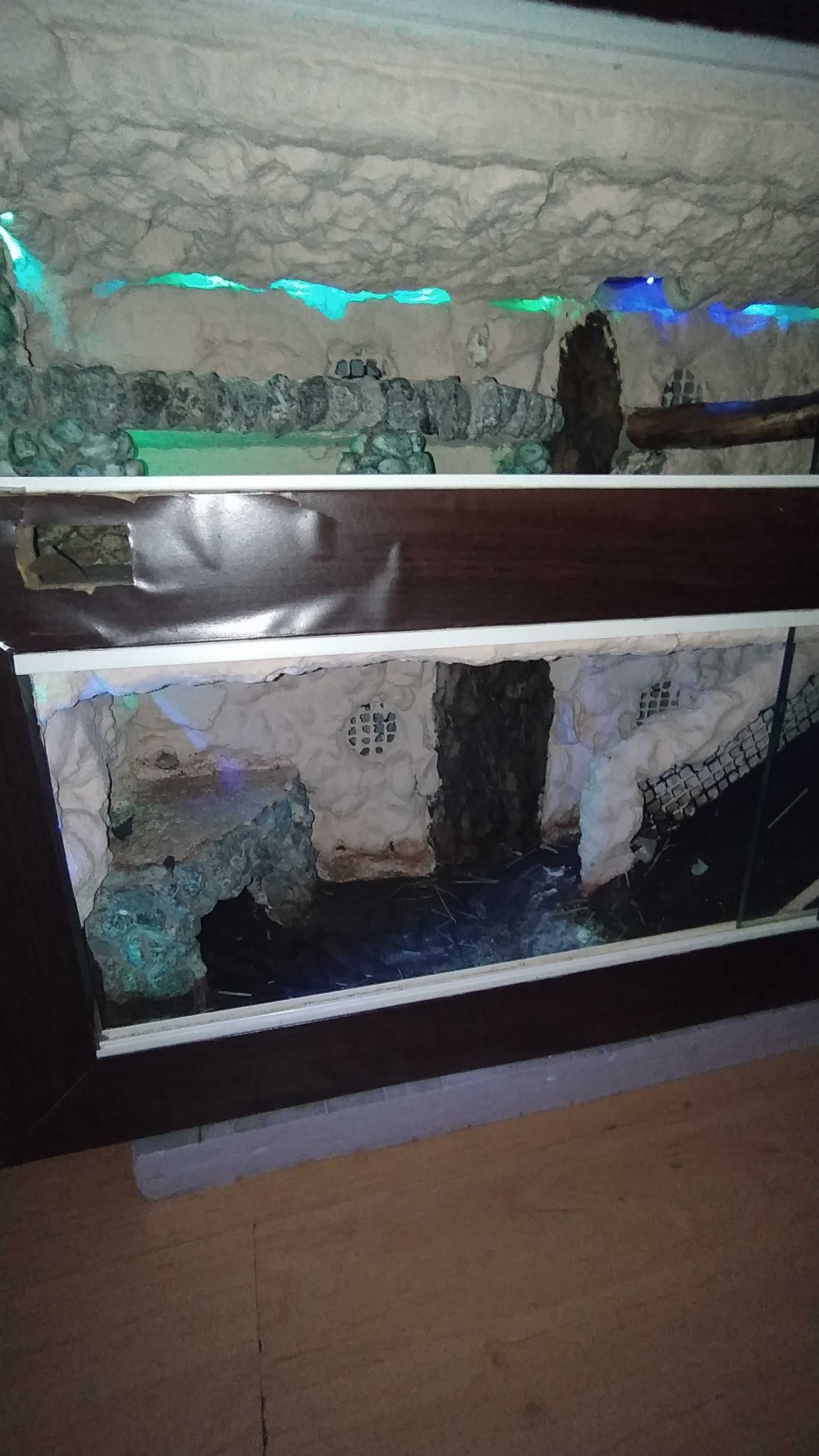 Terrarium dwupoziomowe-Nowa Cena