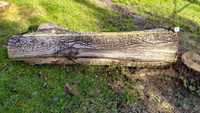 Drewno orzecha włoskiego,  2metrowy duży pień + mniejsze konary