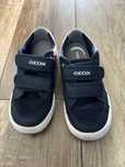 Buty, trampki, sneakersy geox r 27