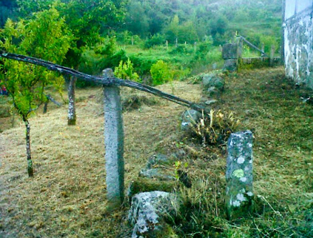 Quinta com Ribeiro - Para venda