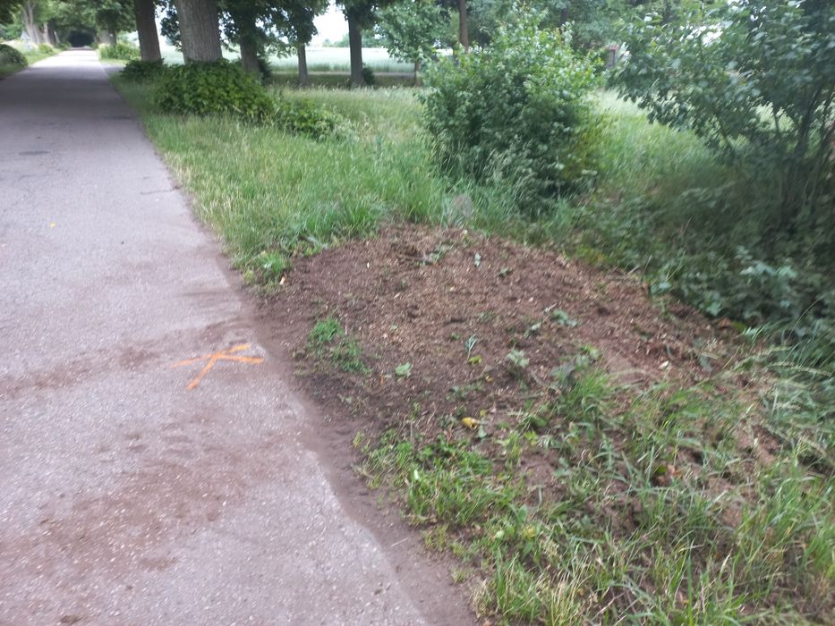 Frezowanie usuwanie pni karp po wycince karczowanie