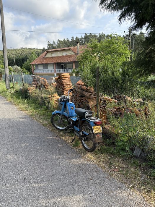 macal marisa (docs camararios)