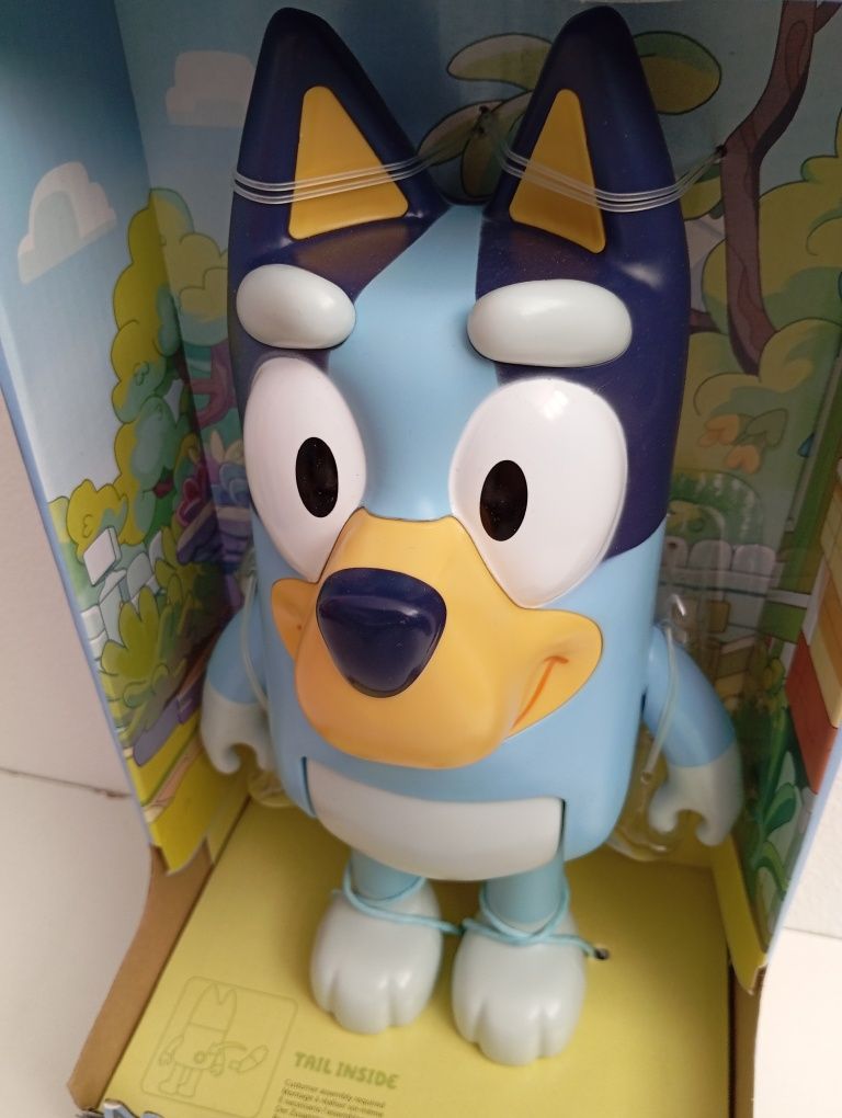 Lote Bluey - Canal Disney Júnior