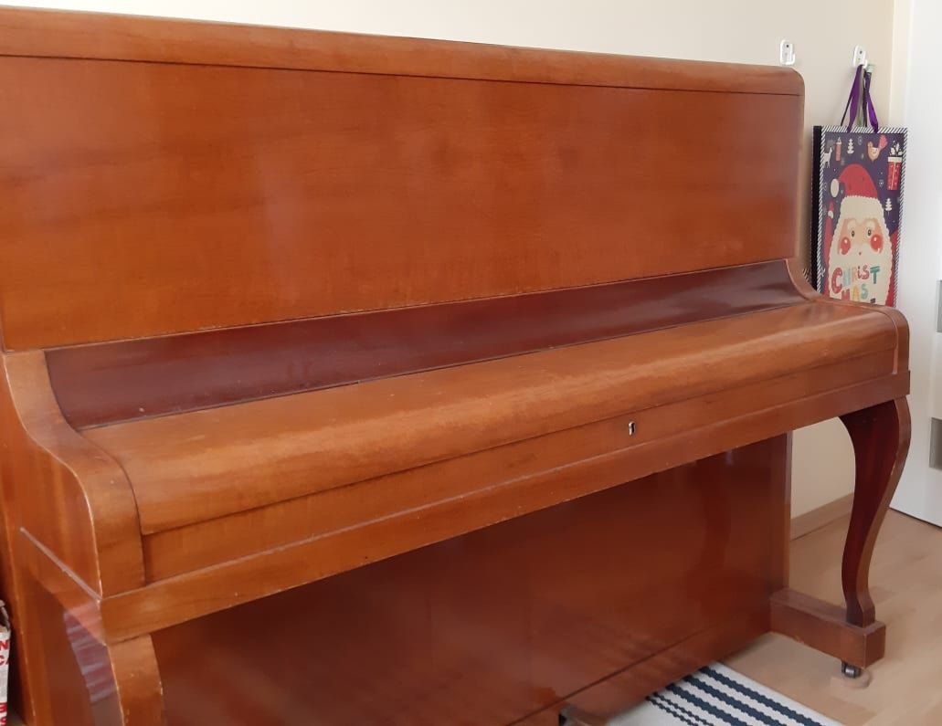 Pianino Calisia w dobre ręce