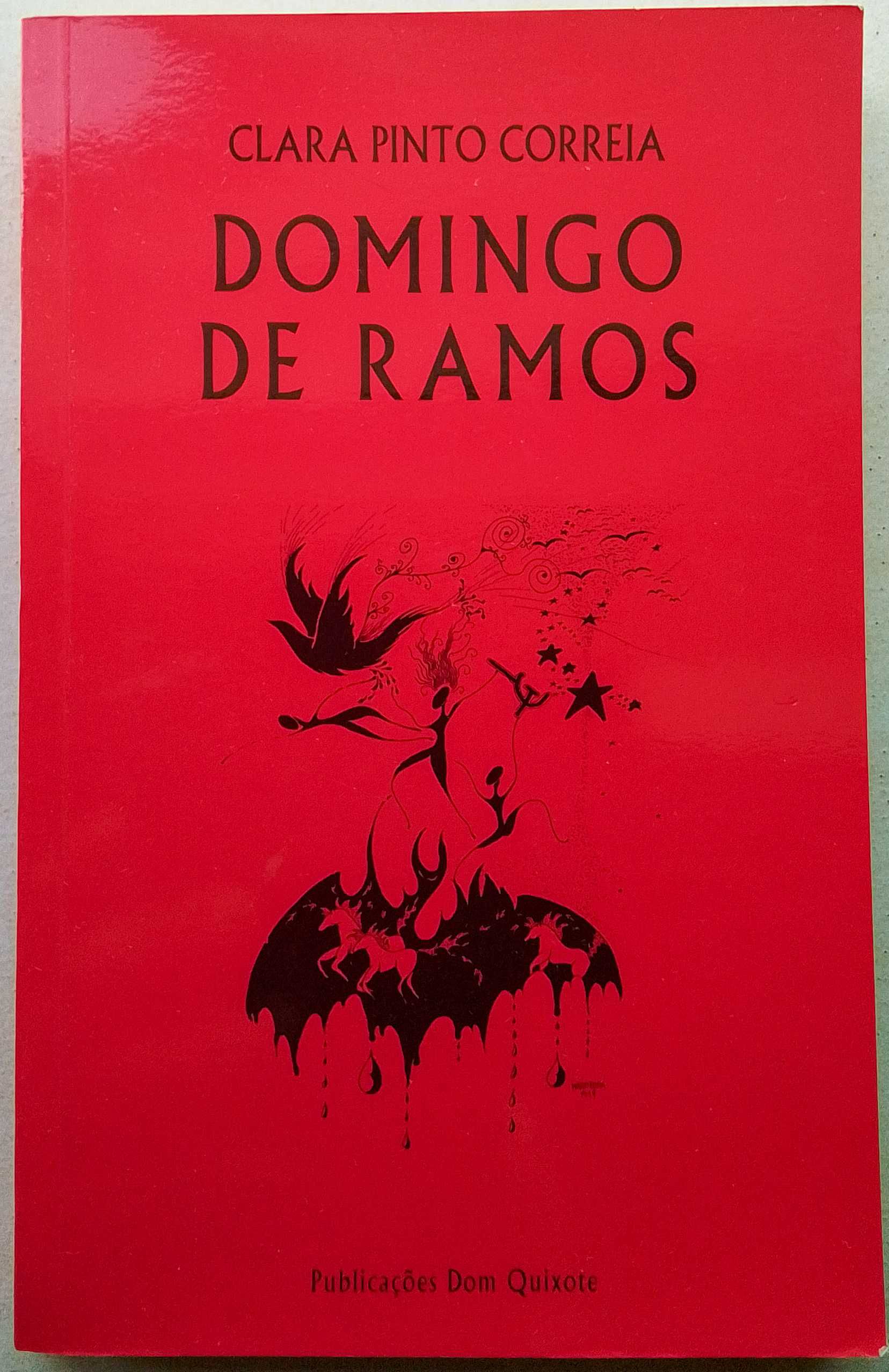 Pack de dois livros de Clara Pinto Correia
