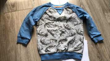 bluza dresowa w dinozaury 110