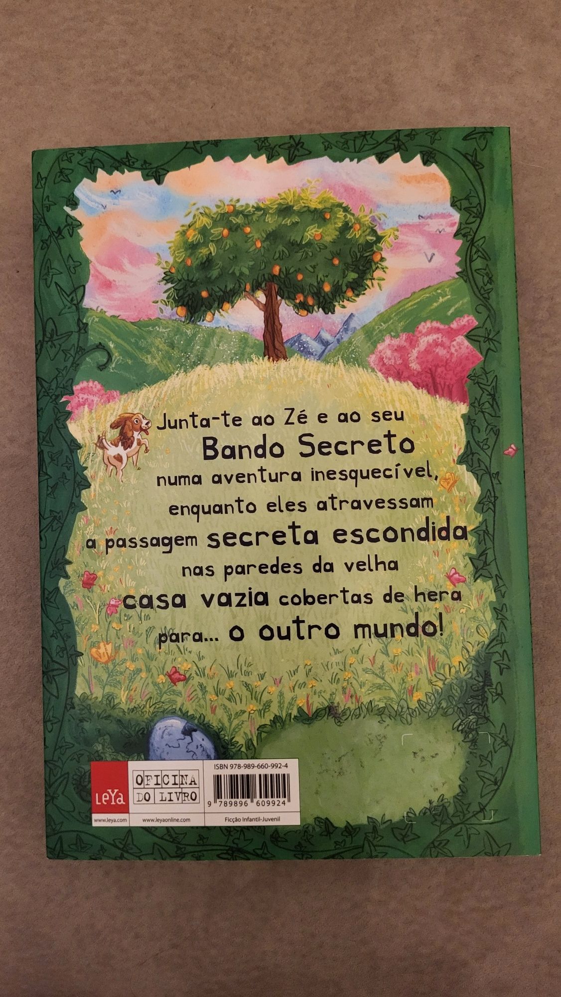 Livro O Misterioso Mundo do Zé