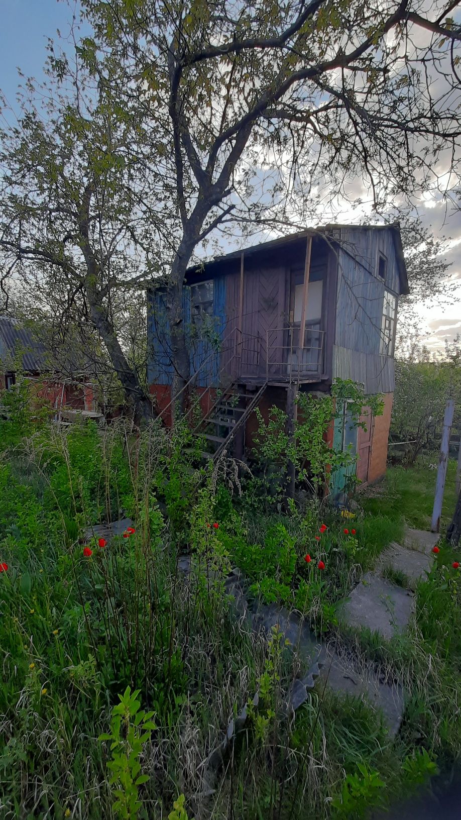 Продам дачу,с.Абазівка