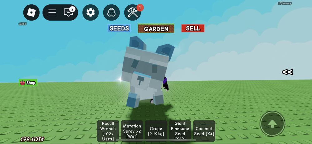 Єнот / Raccoon / Pets Grow a Garden Roblox