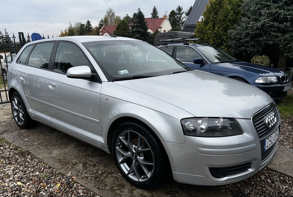 Audi A3 8P Sportback 1.9TDI