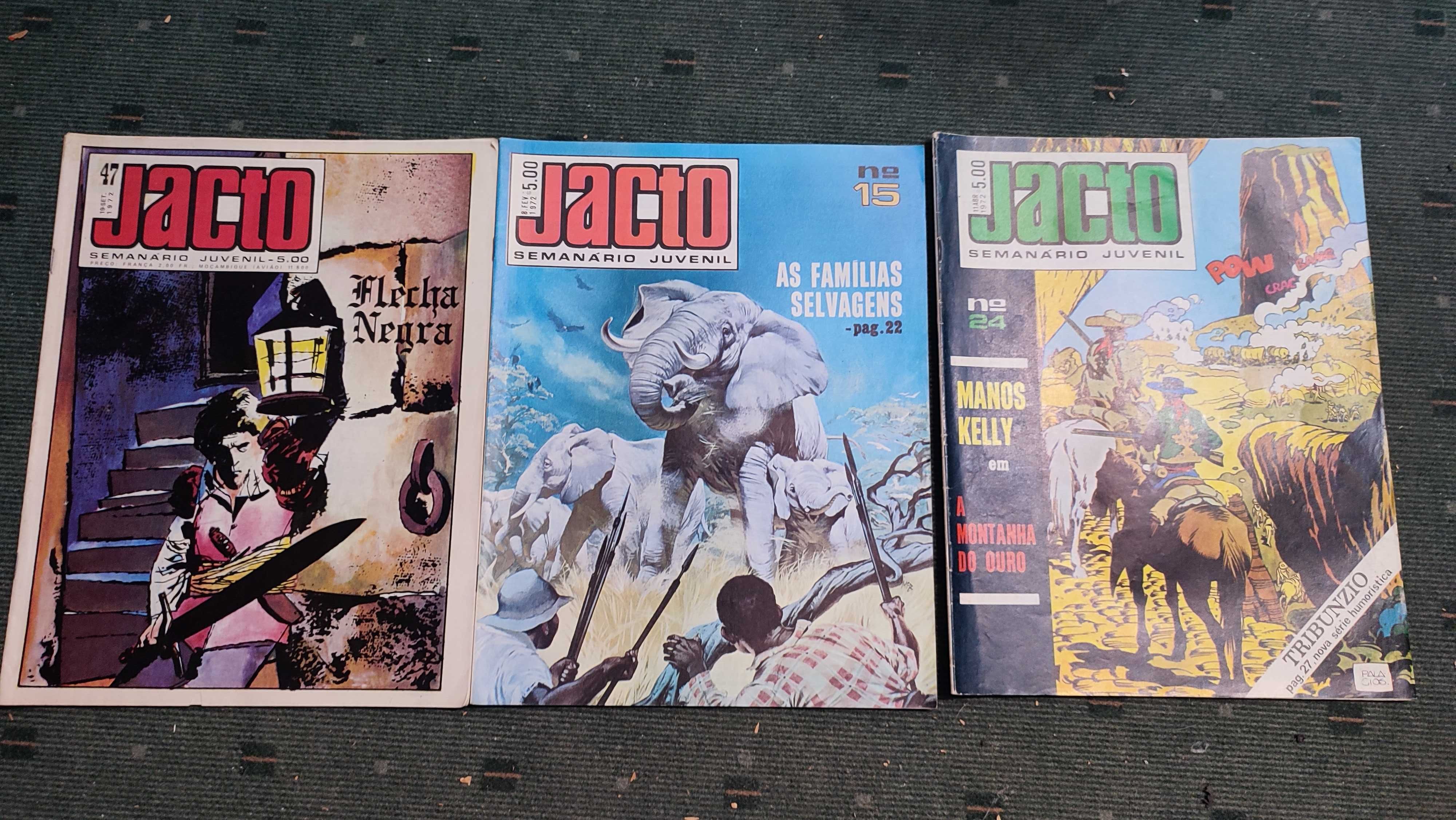 Lote 13 REvistas BD Jacto