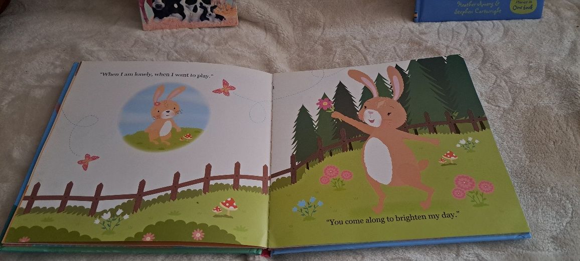 Książeczki dla dzieci w j.angielskim