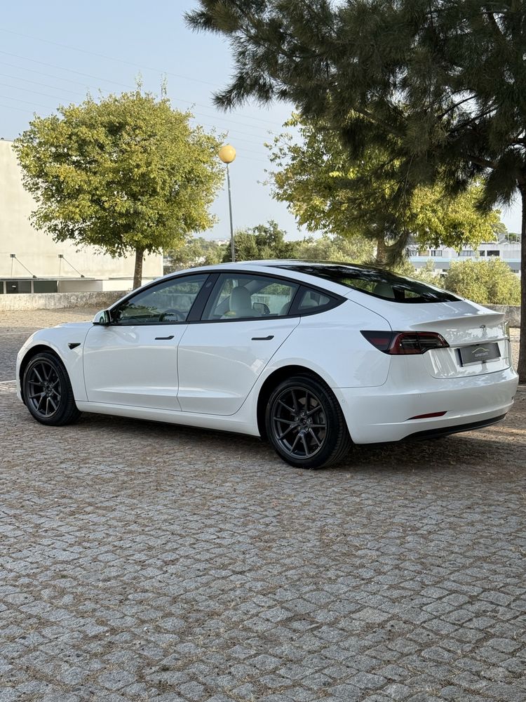 Tesla Long range Dual motor