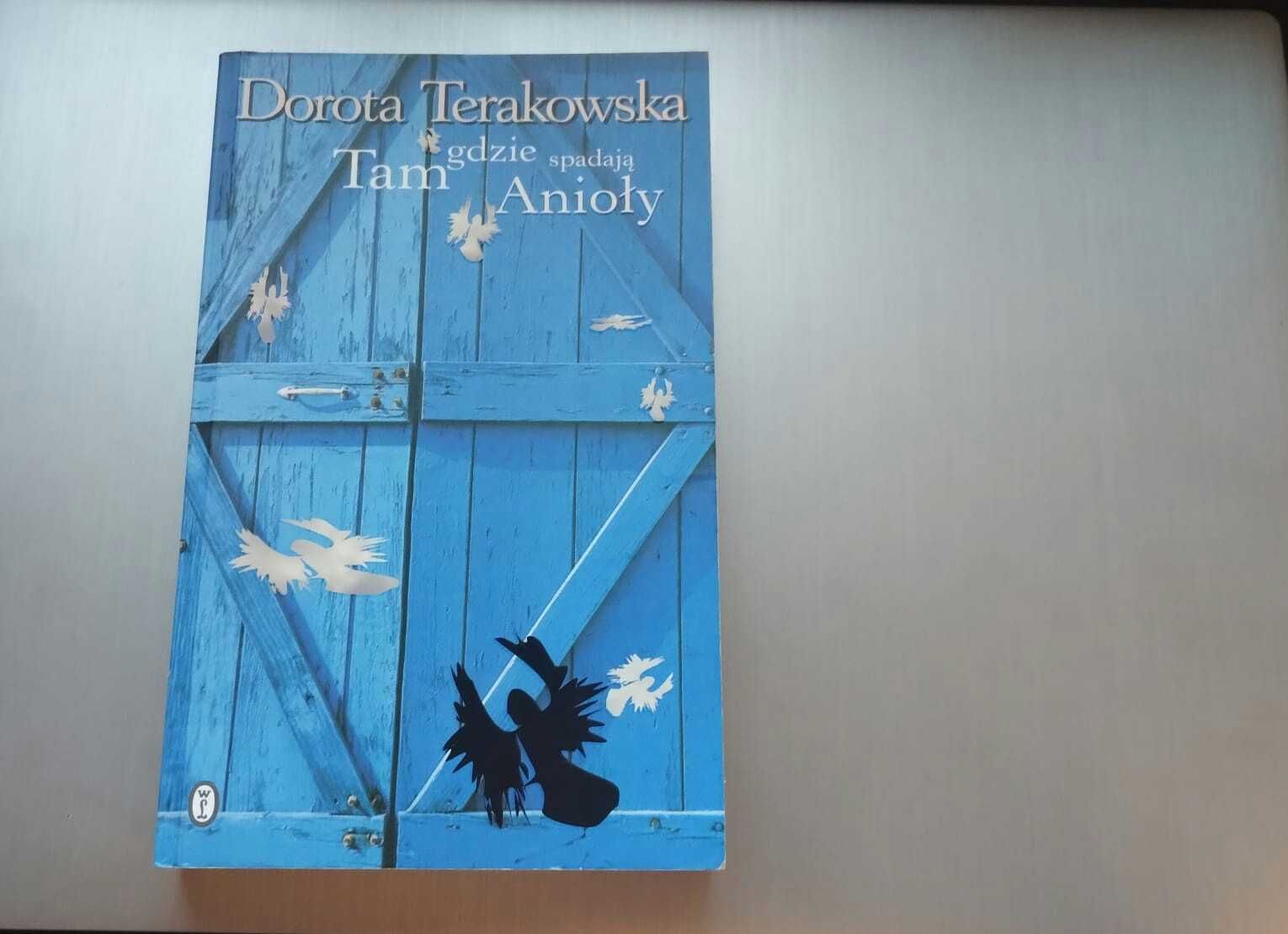 Tam gdzie spadają Anioły - Dorota Terakowska, książka