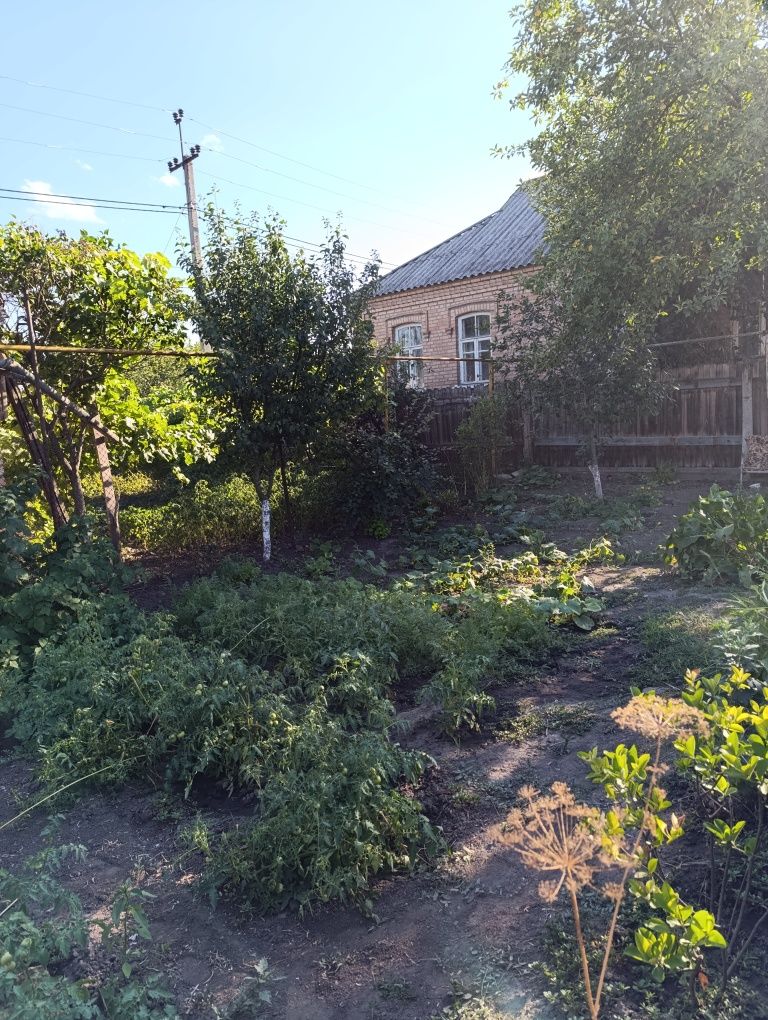 Терміновий продаж будинку по вул. Приречній