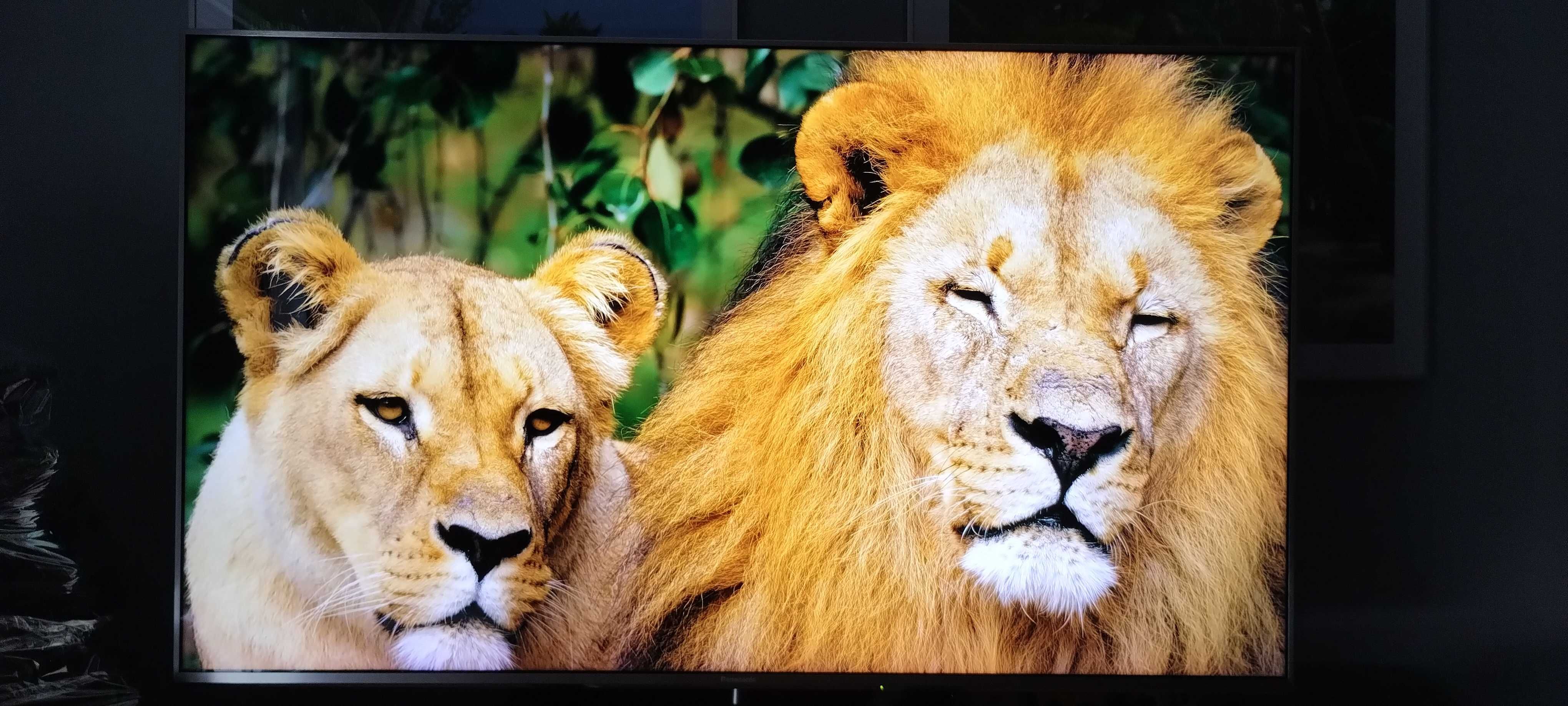 TV LED 3D 4 K Panasonic TX-58EX780E