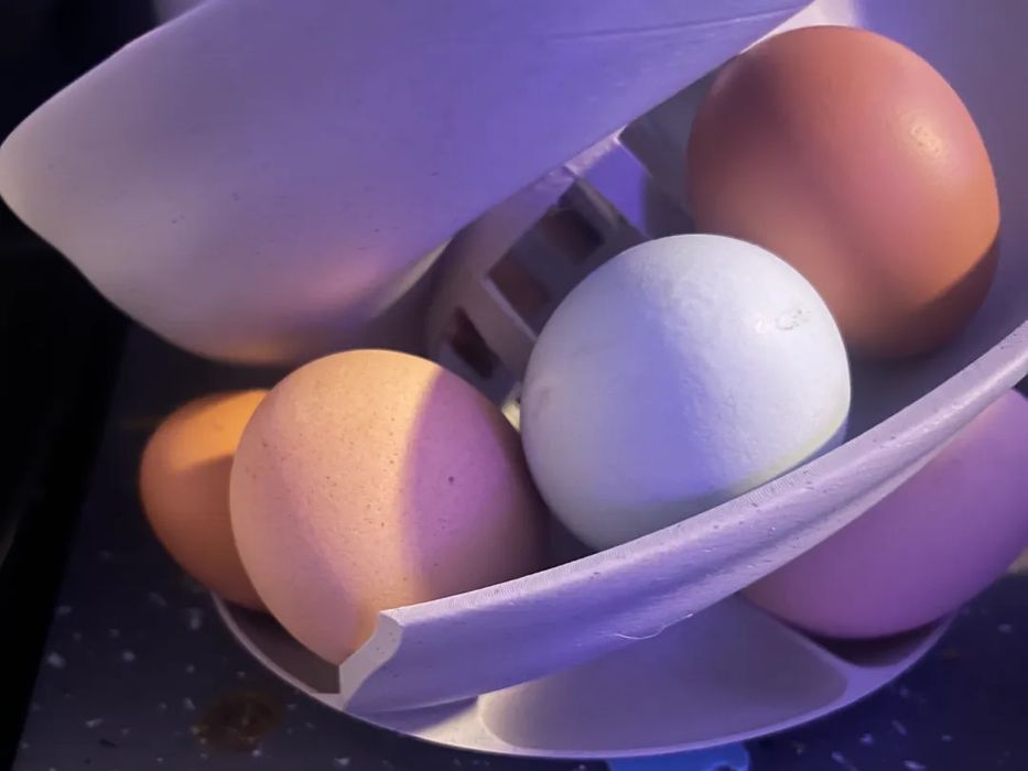 Suporte Deslizante para Ovos com Pega