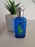 Ralph lauren Big Pony