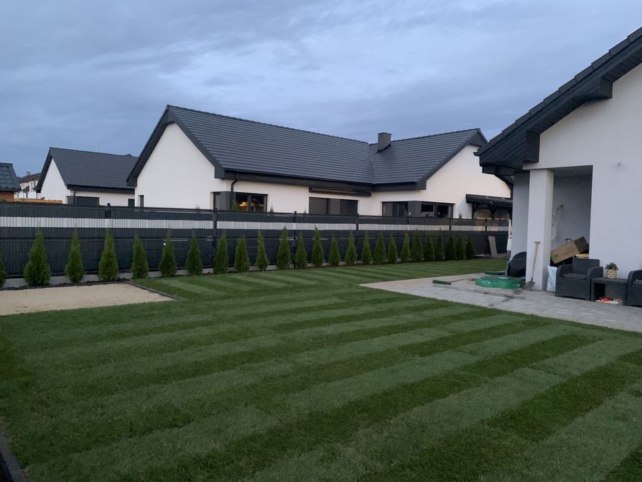 Trawa z rolki, rolka trawy, trawa rolowana, trawnik, producent