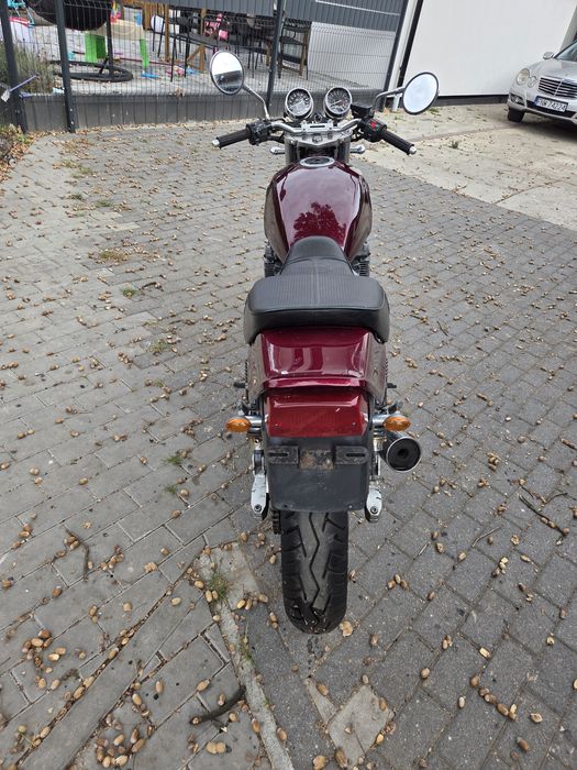 Kawasaki Zephyr 550 Cafe Racer!