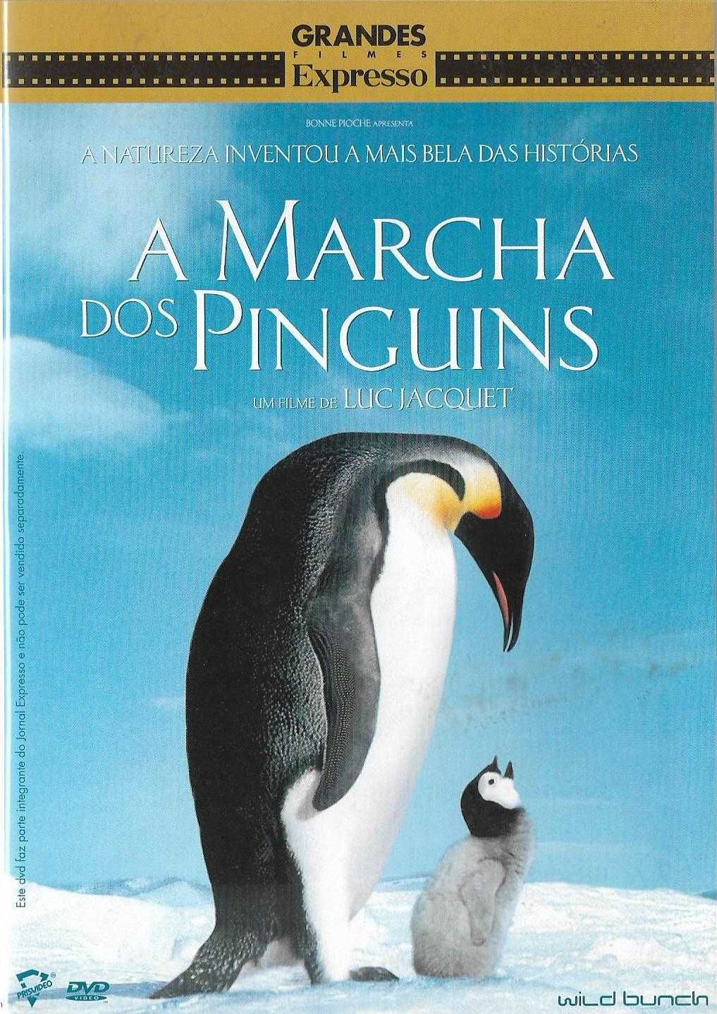 A Marcha dos Pinguins - - - Documentário - - - - - DVD