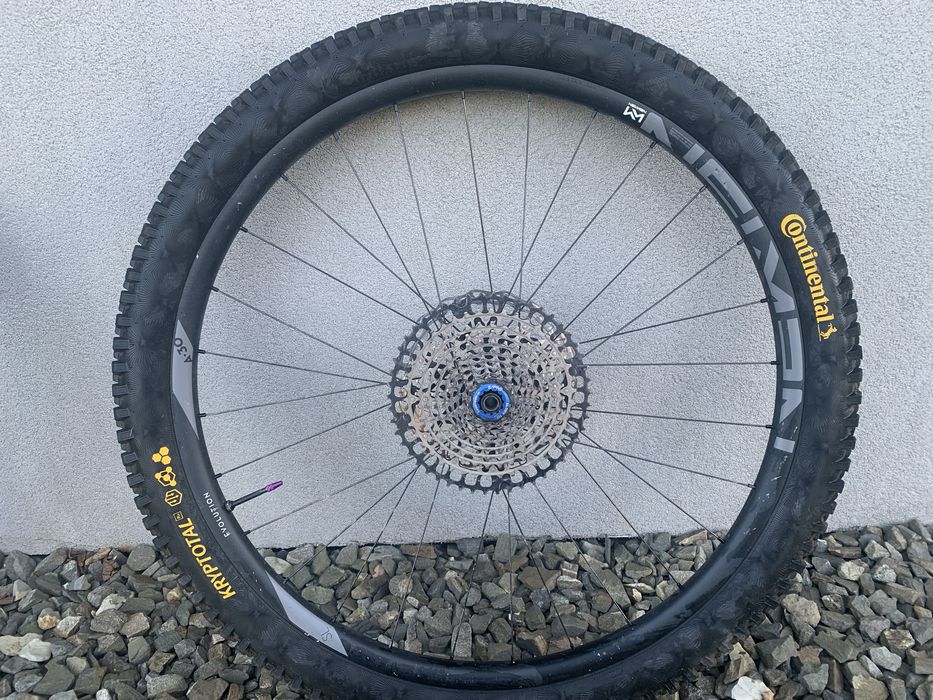 Newmen evolution sl A-30 29”