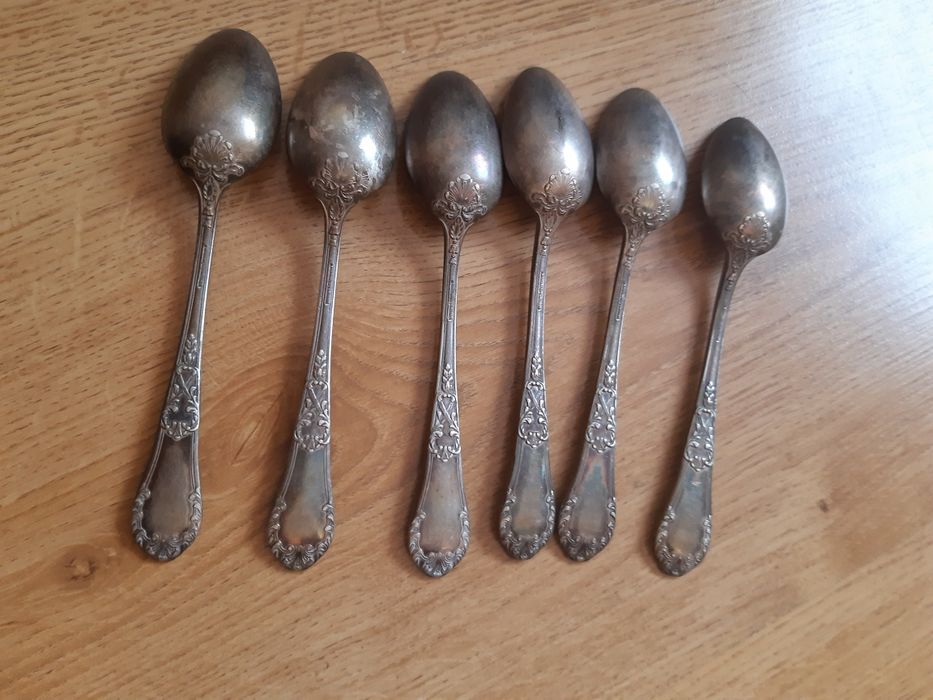 Łyżeczki do herbaty 6 szt Fraget Plaque BM