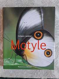 Thomas Marent "Motyle"