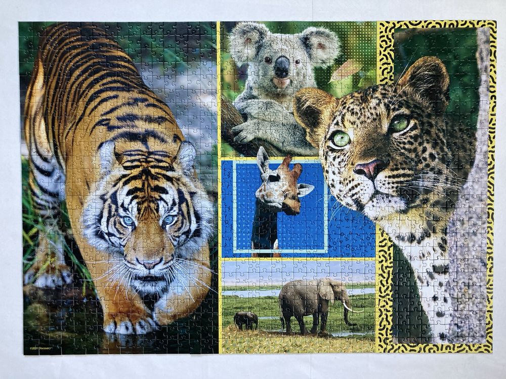 Puzzle Trefl 1000 • ANIMAL PLANET