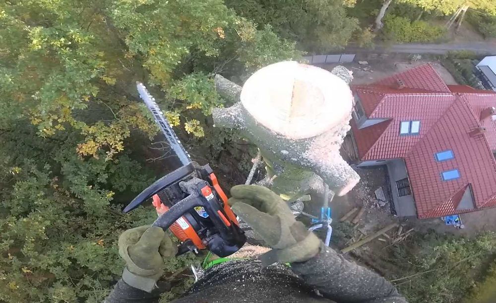 Wycinka drzew arborysta przycinka prace wysokościowe odśnieżanie