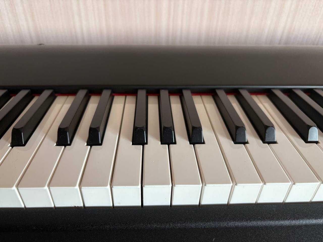MIDI-клавіатура M-Audio Hammer 88 + Стійка + Педаль