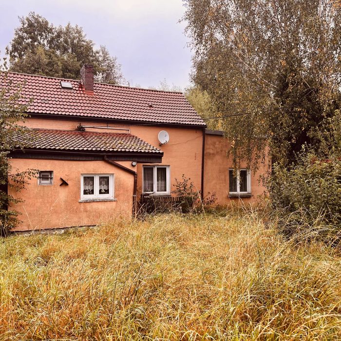 Dom z gruntem 10100m2