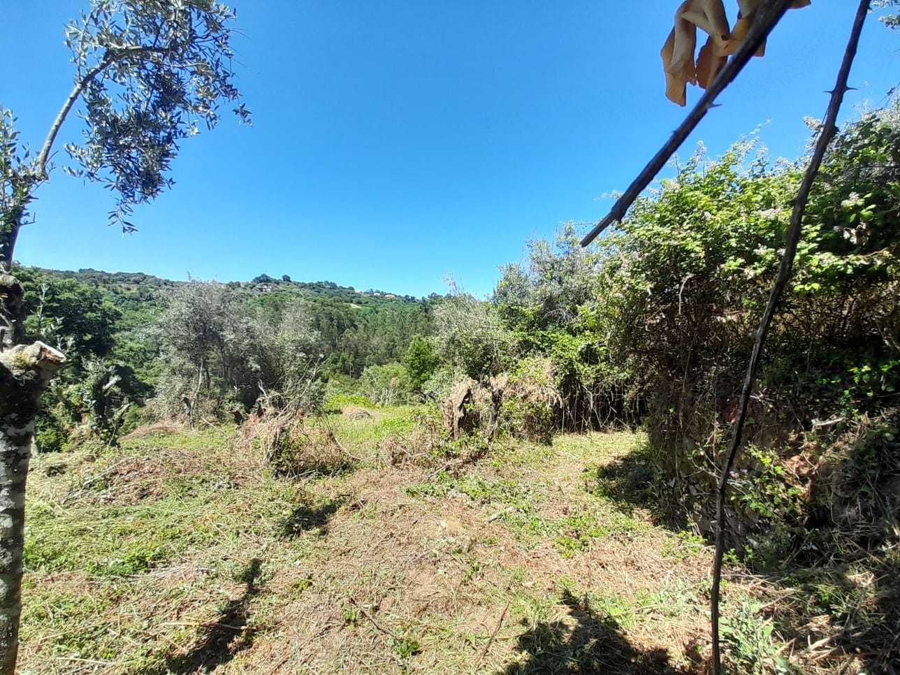 Terreno Urbano para construção na Serra e Junceira