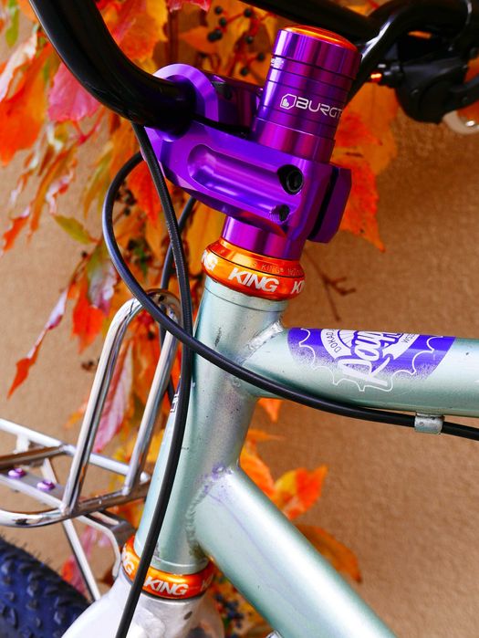 GT Palomar Chris King Garbaruk Retro Brooks