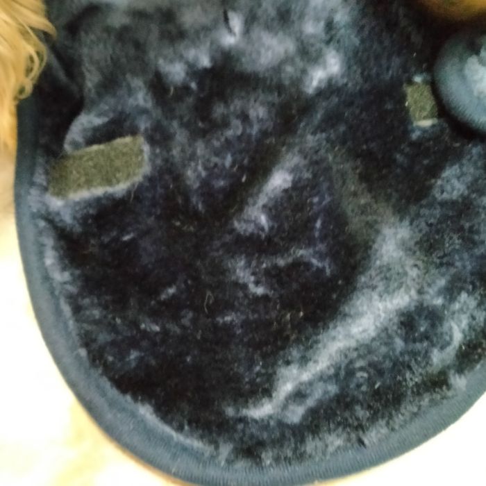 Пальто для собакена