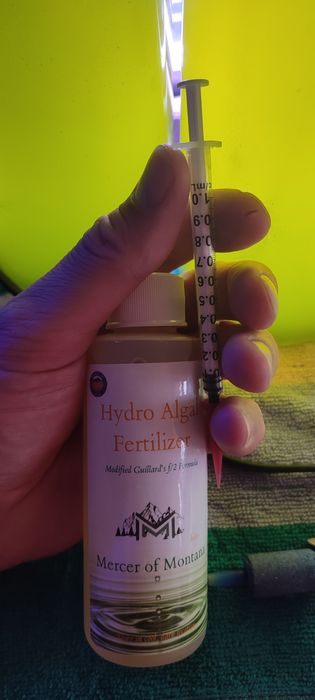 Тетраселміс Tetraselmis. Наннохлоропсис Nannochloropsis. Фітопланктон.