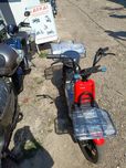 Corso Rider 800w
