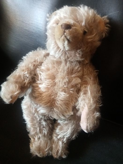 Miś Steiff trociniak twardy , z maszynka do mruczenia sprawna XXw 30cm