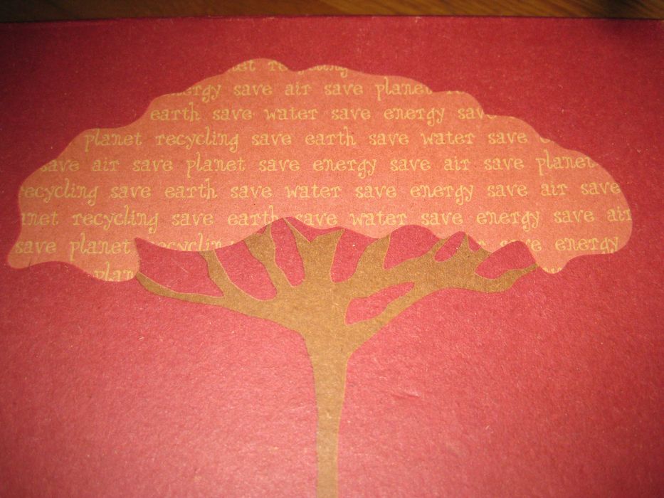 Conjunto de 2 Chávenas Gato Preto: Save the Planet em Caixa original