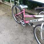 Bicicleta montanha
